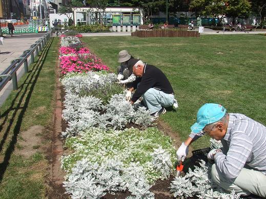 花壇維持管理ボランティア