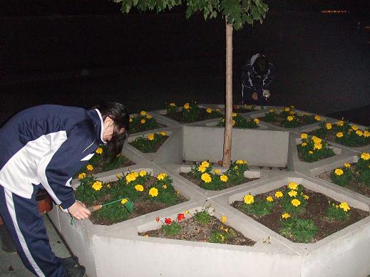 大通高校ボランティア（夜）