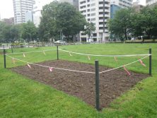 西7丁目西側花壇