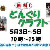 5月3日から5日開催のどんぐりｋラフトのチラシ