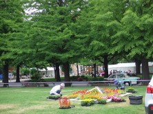 コンクール花壇造成の様子