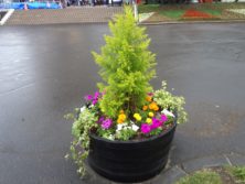 西１丁目のテレビ塔によるスポンサー花壇（コンテナ）の写真