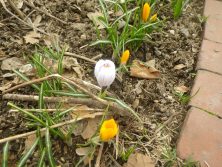 ２０１７．４．４