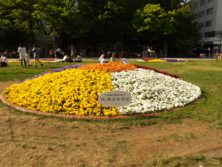 西3丁目の北海道新聞によるスポンサー花壇の写真