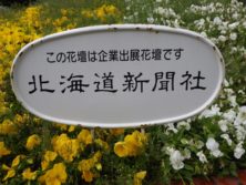 西3丁目の北海道新聞によるスポンサー花壇の看板の写真