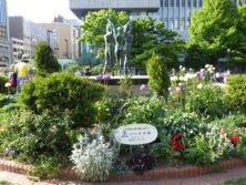 西3丁目の水谷組によるスポンサー花壇の写真