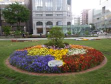 西4丁目のセブンイレブンによるスポンサー花壇の写真