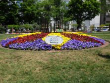 西4丁目のJAバンクによるスポンサー花壇の写真