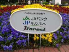 西4丁目のJAバンクによるスポンサー花壇の看板の写真
