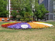 西5丁目の雪印種苗によるスポンサー花壇の写真