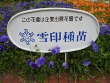 西5丁目の雪印種苗によるスポンサー花壇の看板の写真