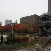 12丁目2１１．３