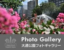 大通公園ギャラリー